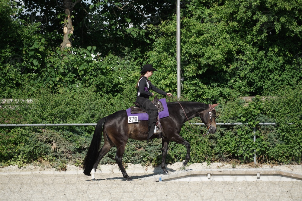 s_APF06784.jpg